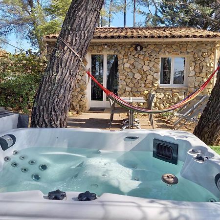 Gite Avec Spa Jacuzzi Au Coeur De Provence Cote D'Azur Saint-Antonin-du-Var Eksteriør bilde
