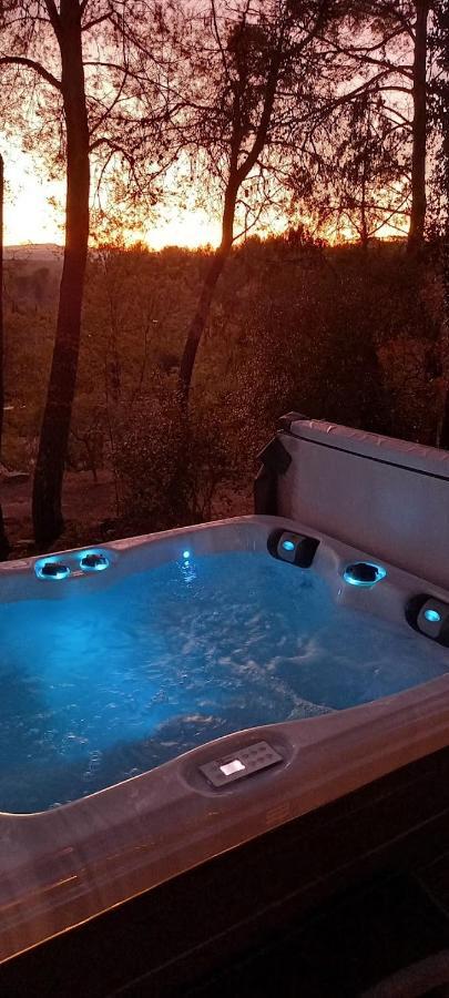 Gite Avec Spa Jacuzzi Au Coeur De Provence Cote D'Azur Saint-Antonin-du-Var Eksteriør bilde